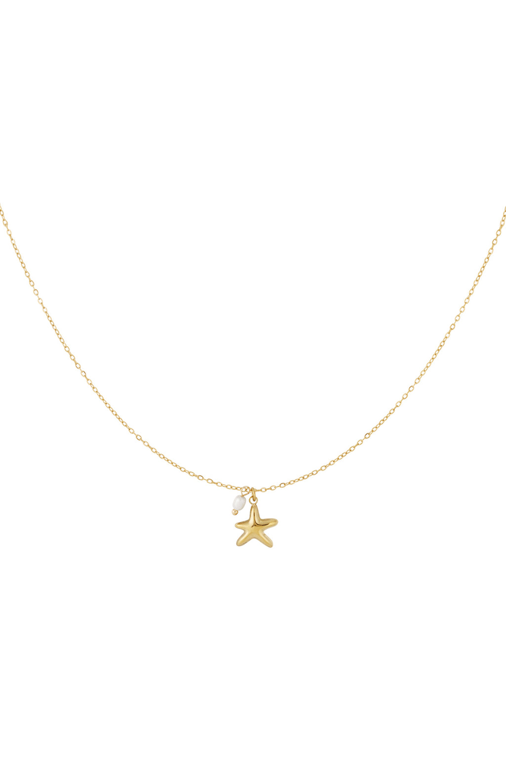 Zeester ketting