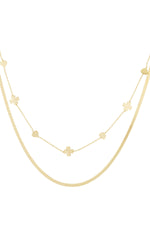 Dubbele ketting clover heart