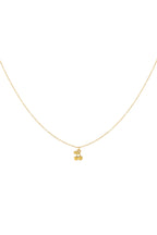 cherry ketting