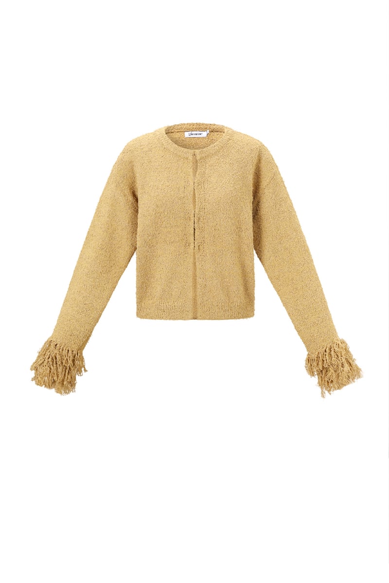 Cardigan met franjemouwen