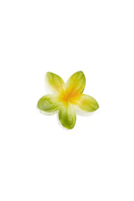Tropical Bloom Clip