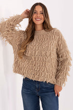  trui model 217057 Rue Paris 